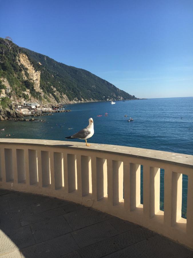 Casetta Del Marinaio Camogli Eksteriør bilde