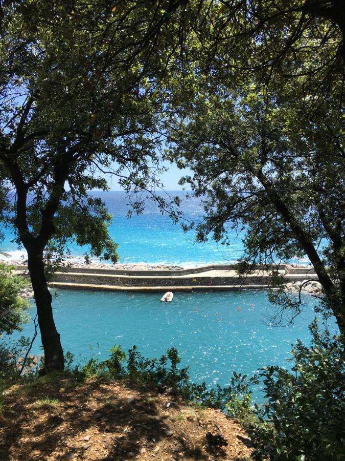 Casetta Del Marinaio Camogli Eksteriør bilde