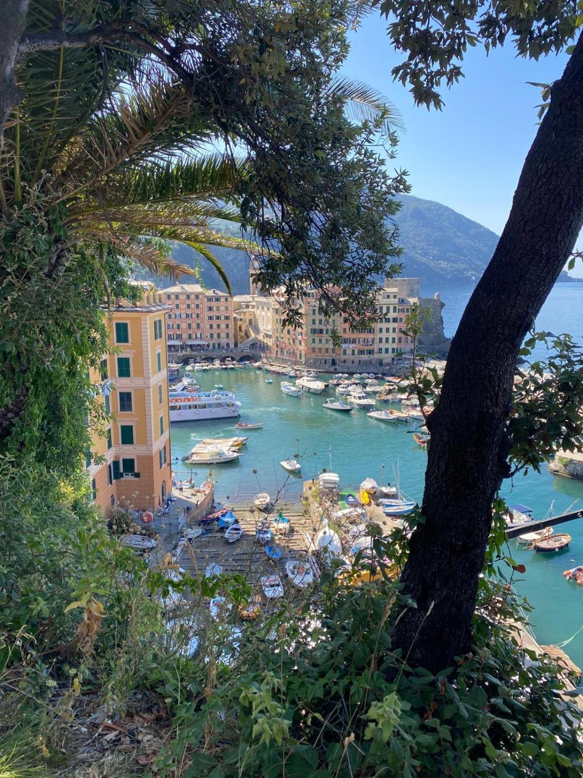 Casetta Del Marinaio Camogli Eksteriør bilde