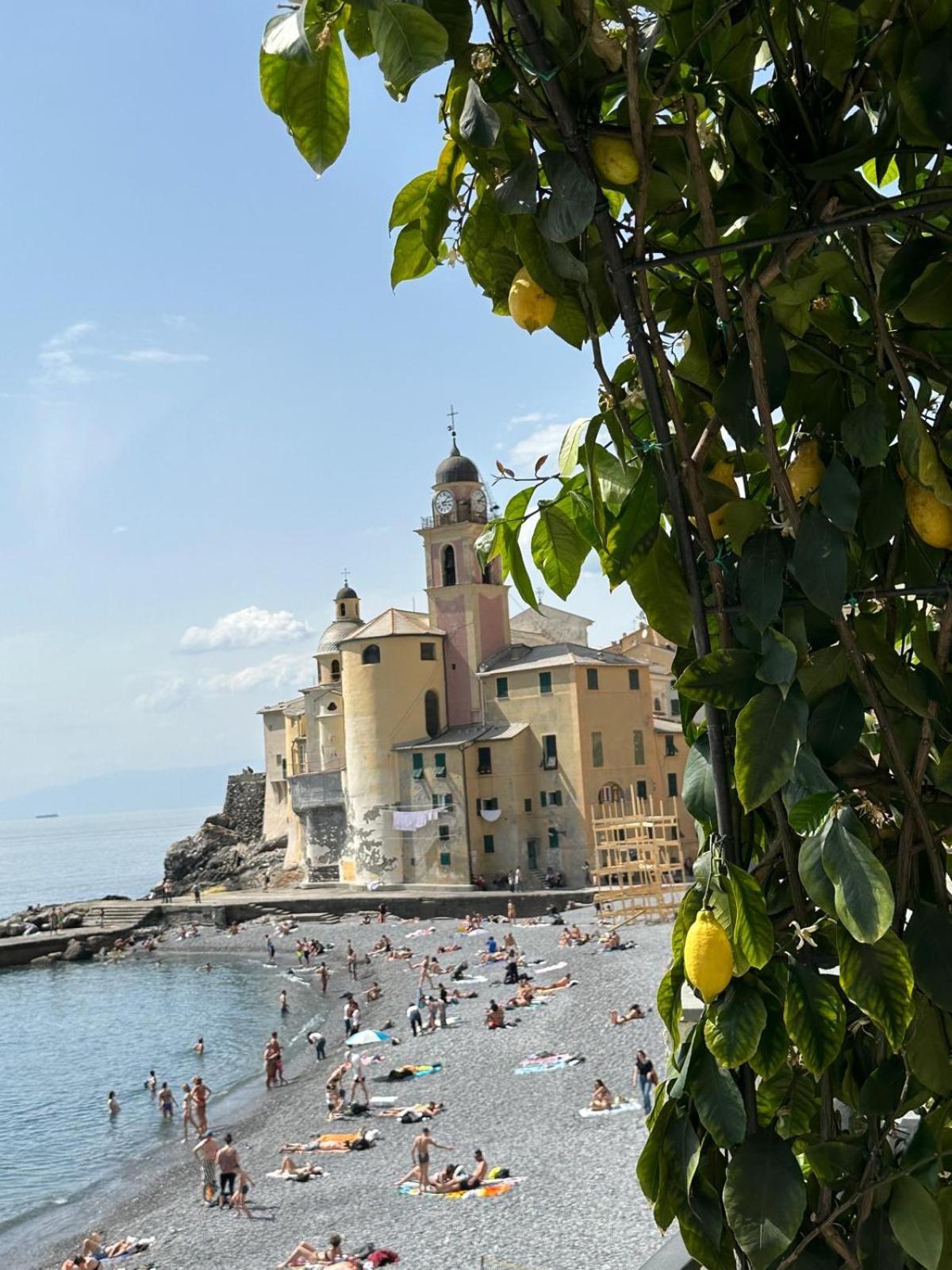 Casetta Del Marinaio Camogli Eksteriør bilde