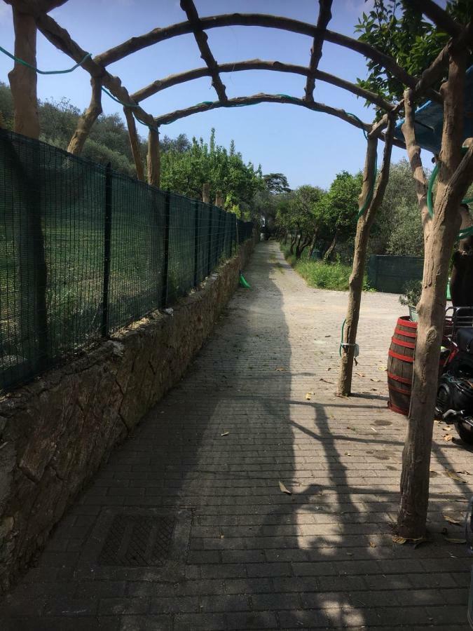 Casetta Del Marinaio Camogli Eksteriør bilde