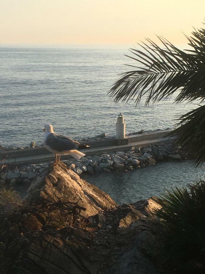 Casetta Del Marinaio Camogli Eksteriør bilde